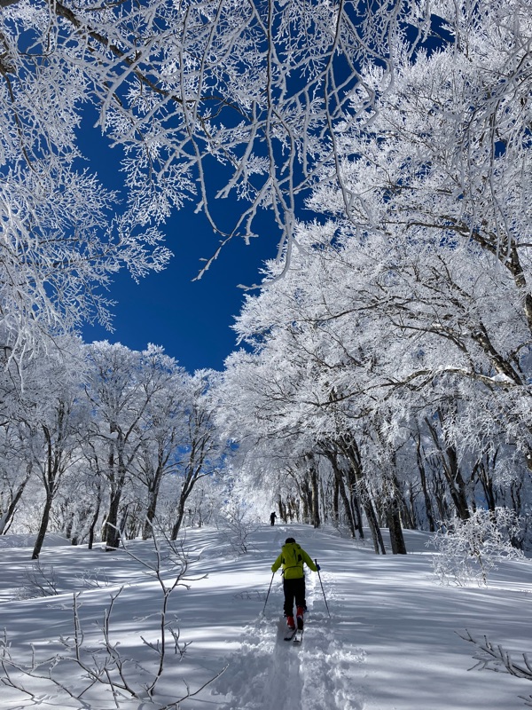 2024.12.30　鍋倉山